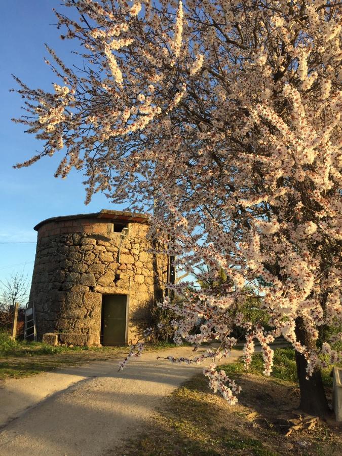 Moinho De Vento Villa Castelo Branco  Dış mekan fotoğraf