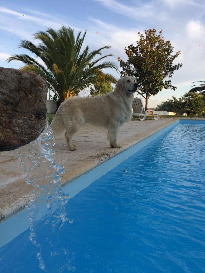 Moinho De Vento Villa Castelo Branco  Dış mekan fotoğraf